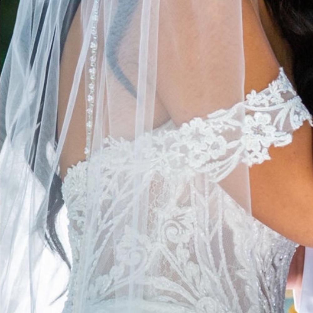 Detachable straps and Veil
